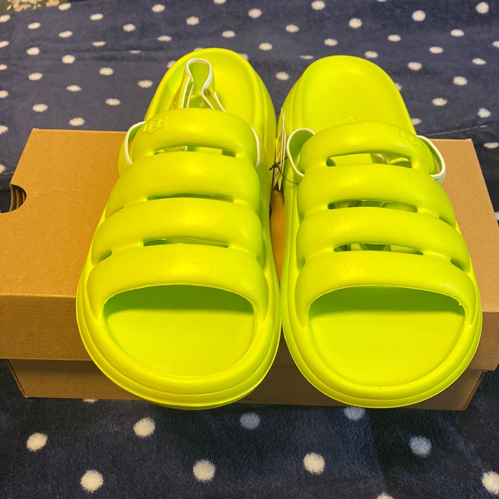Brand new in box Ugg slippers